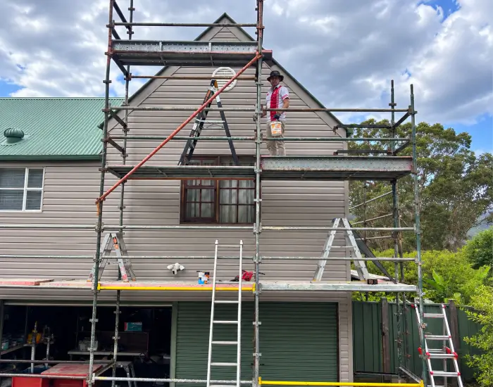 Roof Painting Img2